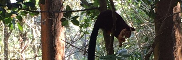 CharlieCooper8 Profile Banner