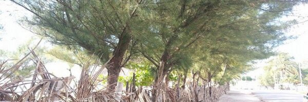 gbcantillo Profile Banner