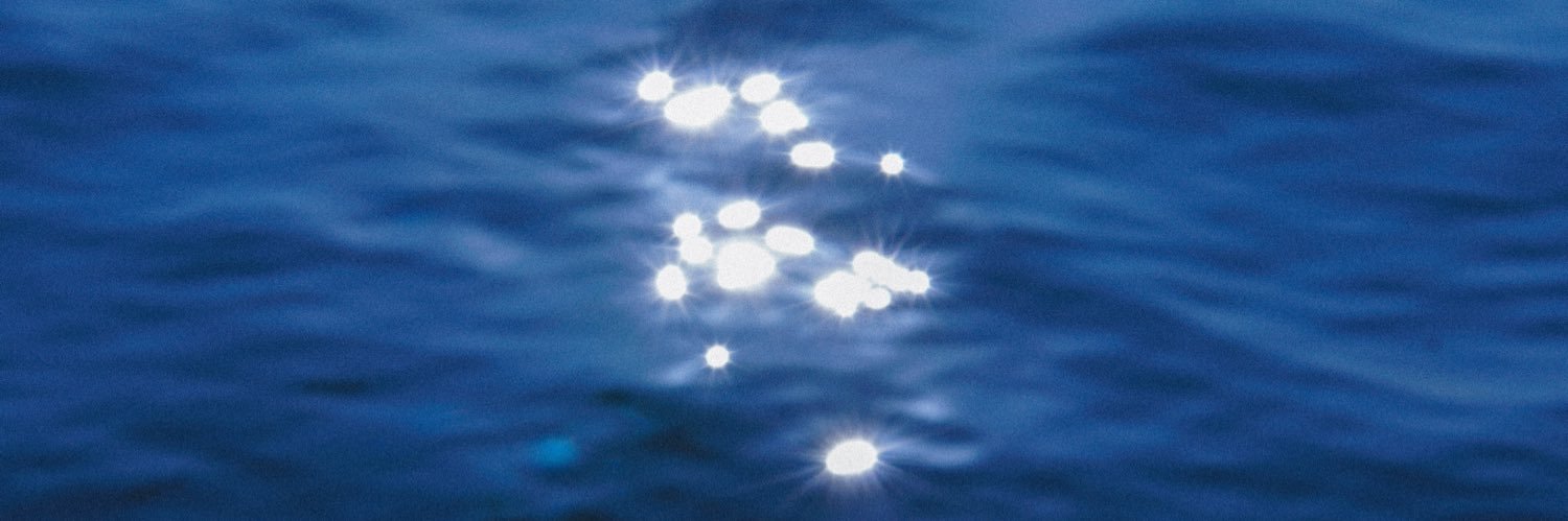 天天做大梦 banner