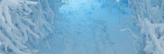 HyperBlueiisms's profile banner image