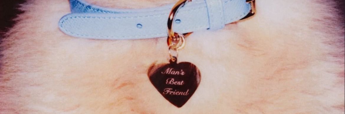 doma 🂱 MAN’S BEST FRIEND ERA banner