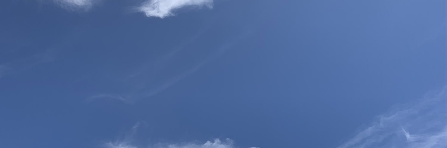 🥑༉‧₊˚✧ banner