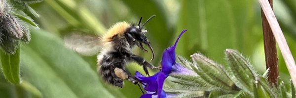 MajRundlof Profile Banner