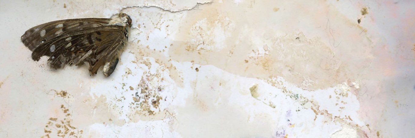 liftedbells's profile banner image