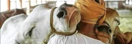 Arisil Moorthy banner