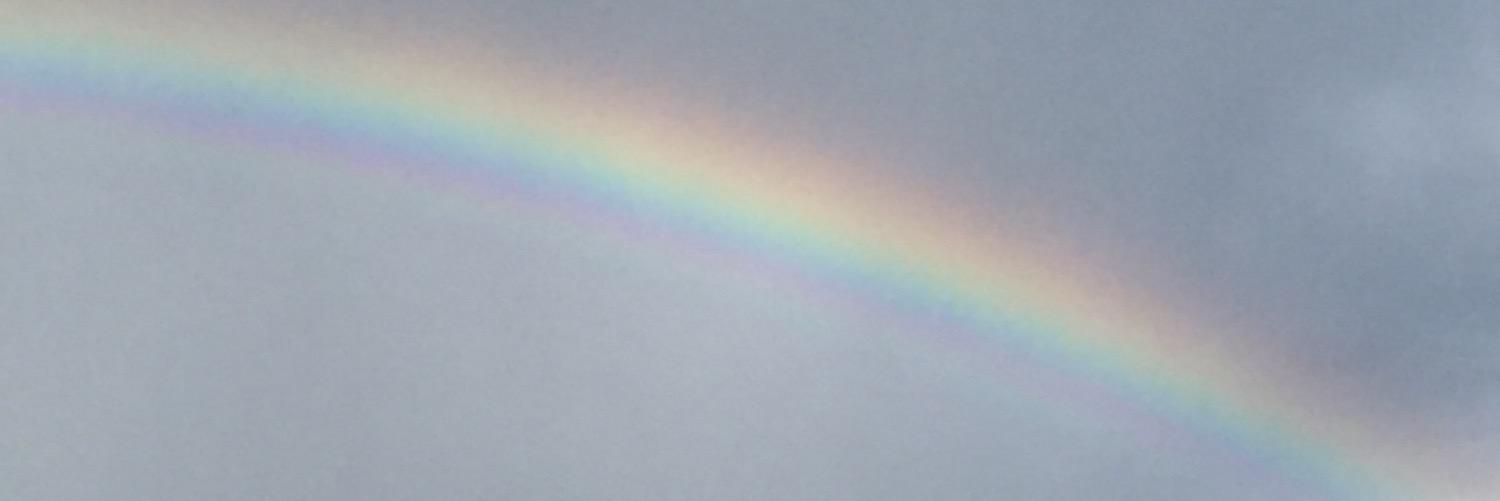 lawndane's profile banner image