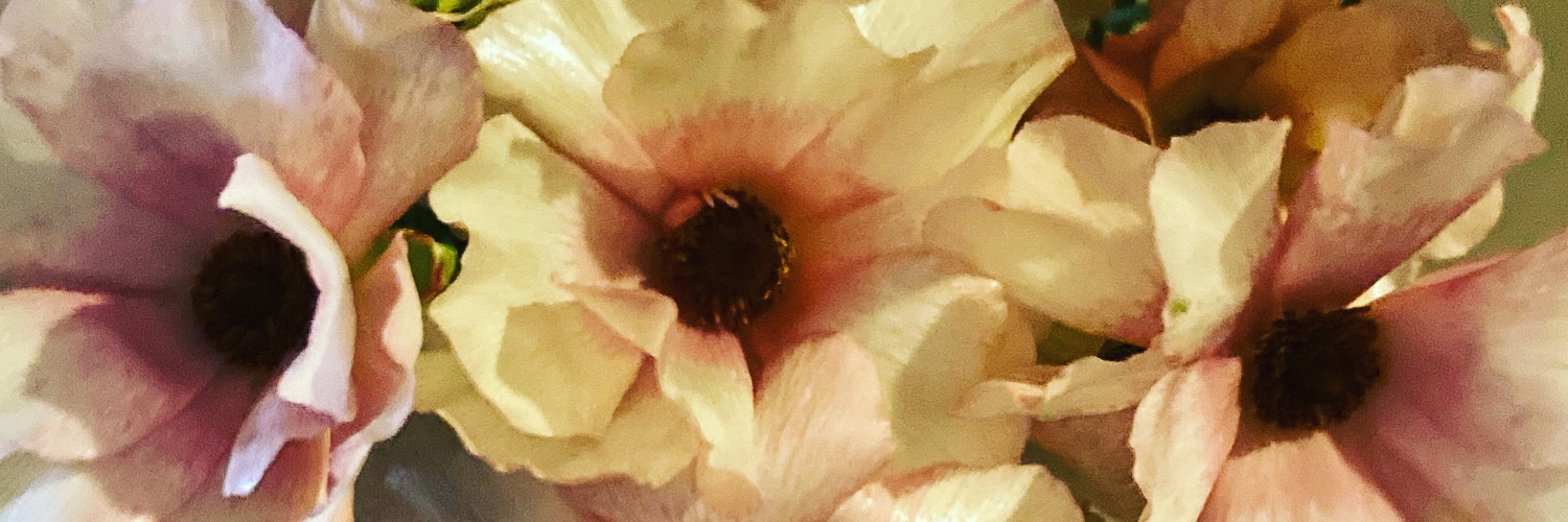 LanguageFlower's profile banner image
