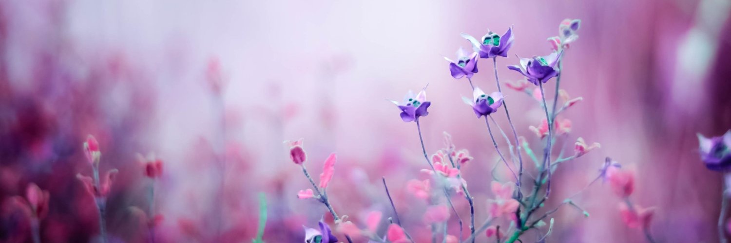 UniversalJamarr's profile banner image