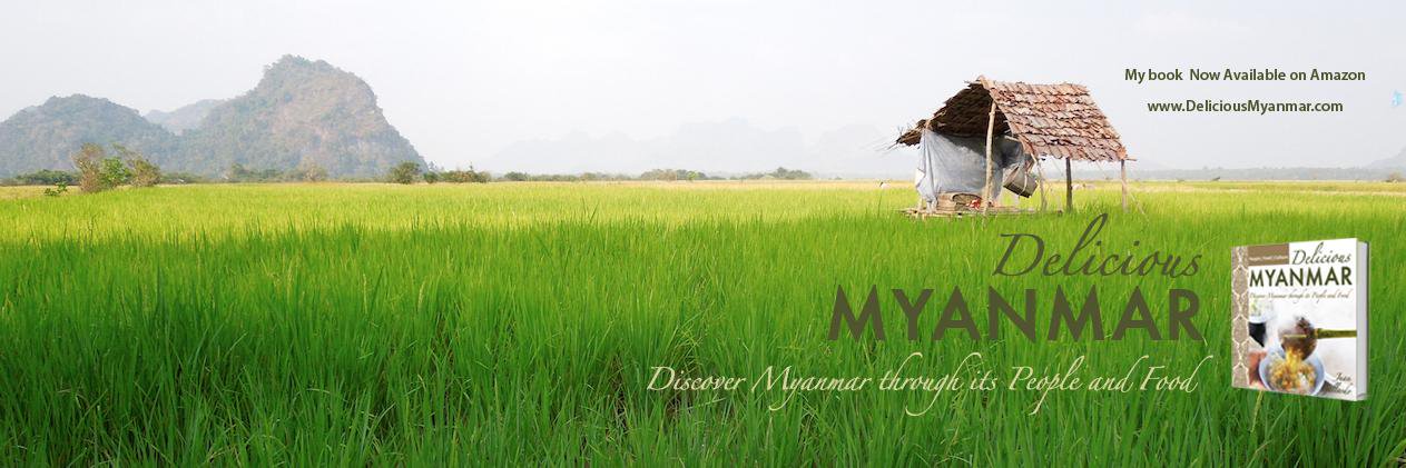 MyanmarTE's profile banner image