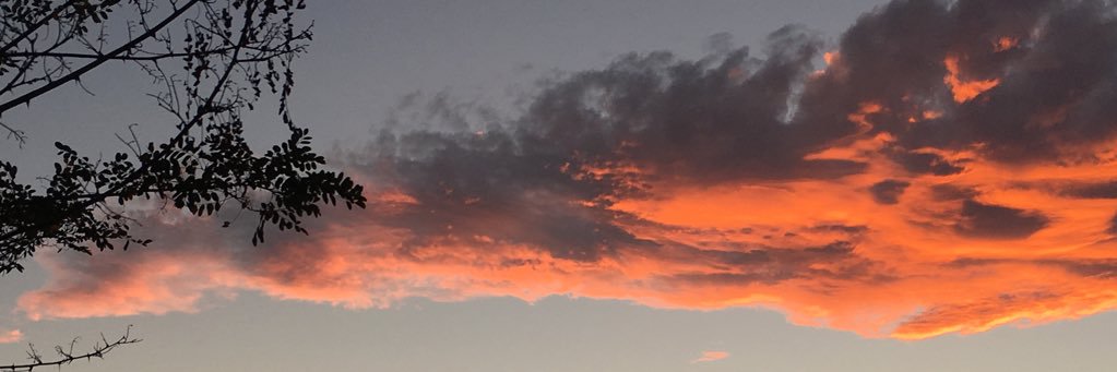 veniale's profile banner image