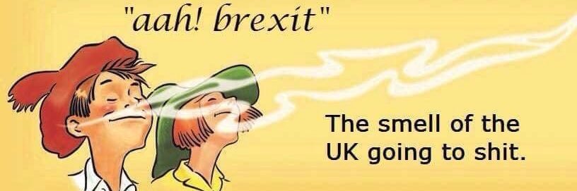 💙💛Maria Del Greco banner