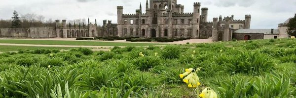 joannesm22 Profile Banner