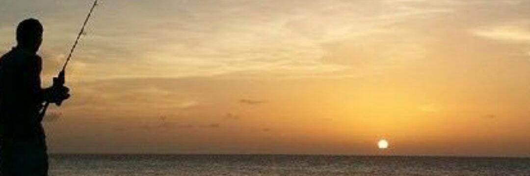 aLechikadhuMo's profile banner image