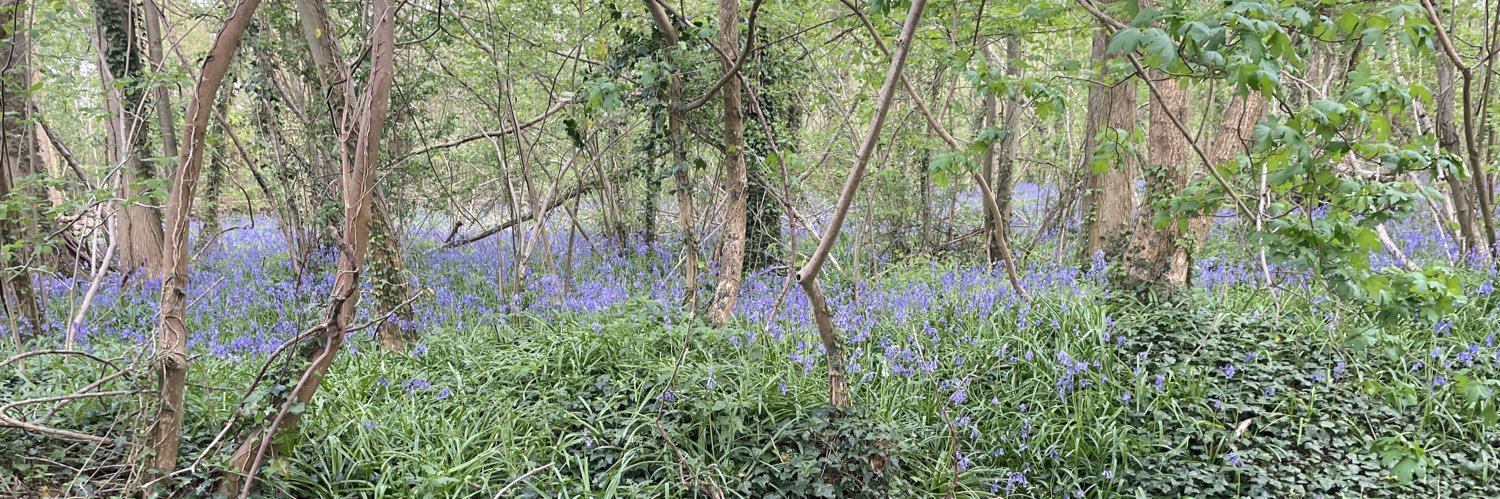 Robyn Llewellyn banner