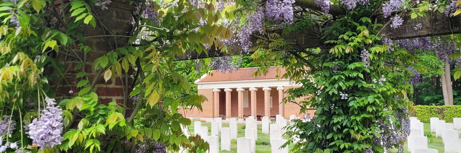 Sarah Nathaniel banner