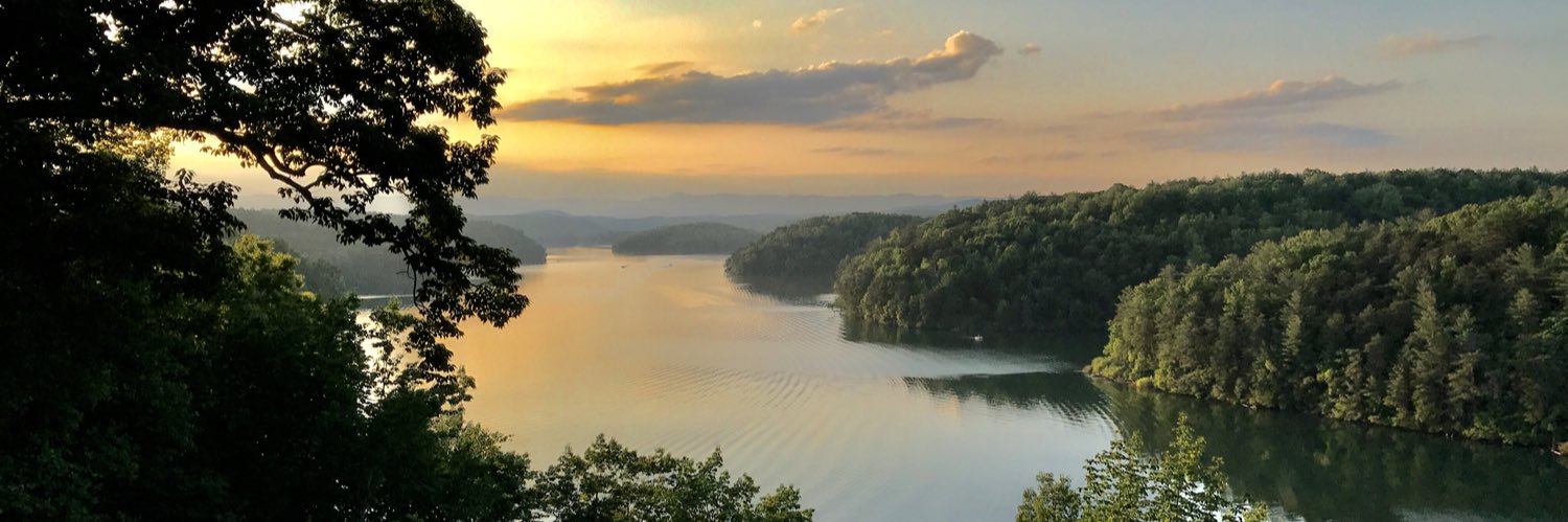 The Picture Poet banner