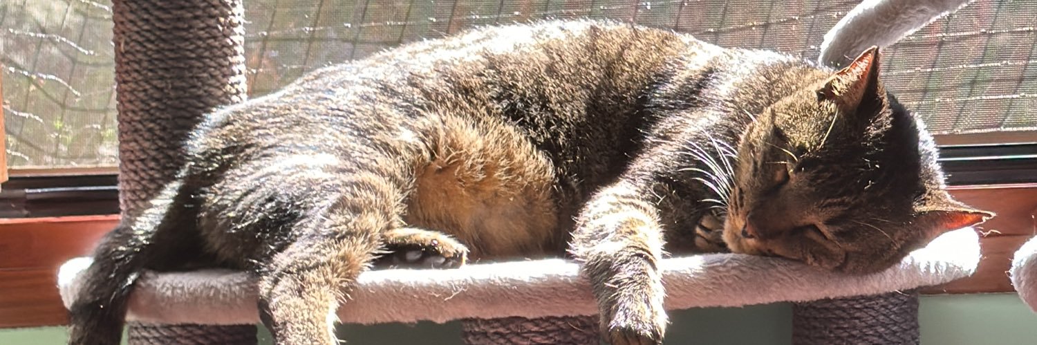 Oscar Fernández Molina banner