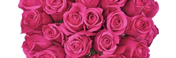 ___Jordanm Profile Banner