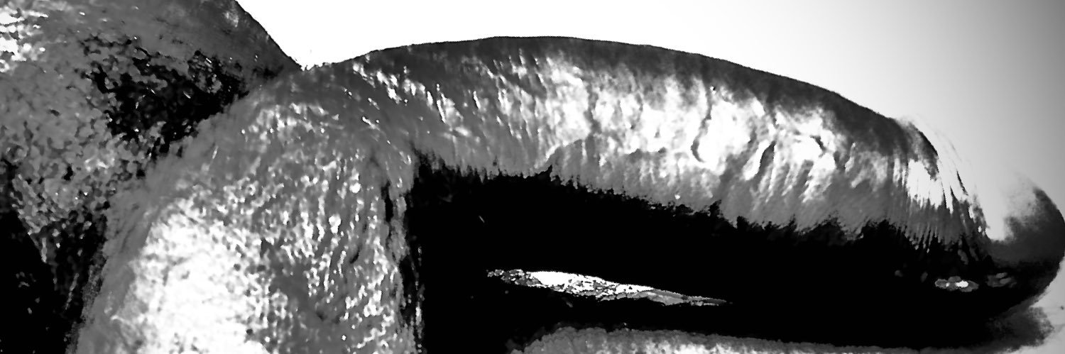 TiveKn's profile banner image