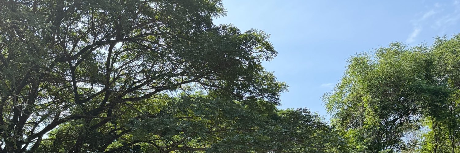 eisyhibrhm's profile banner image