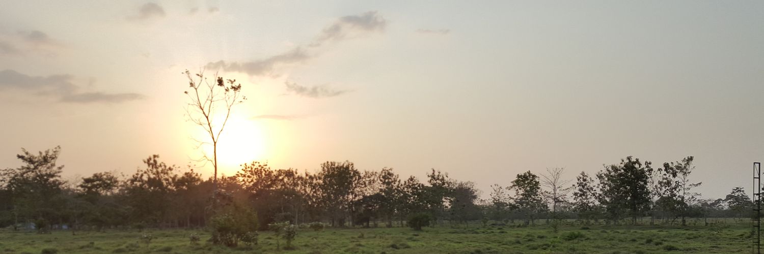carloszapatap1's profile banner image
