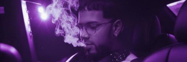 nosekweaponer banner