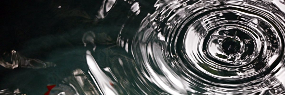JayBeeXRP banner