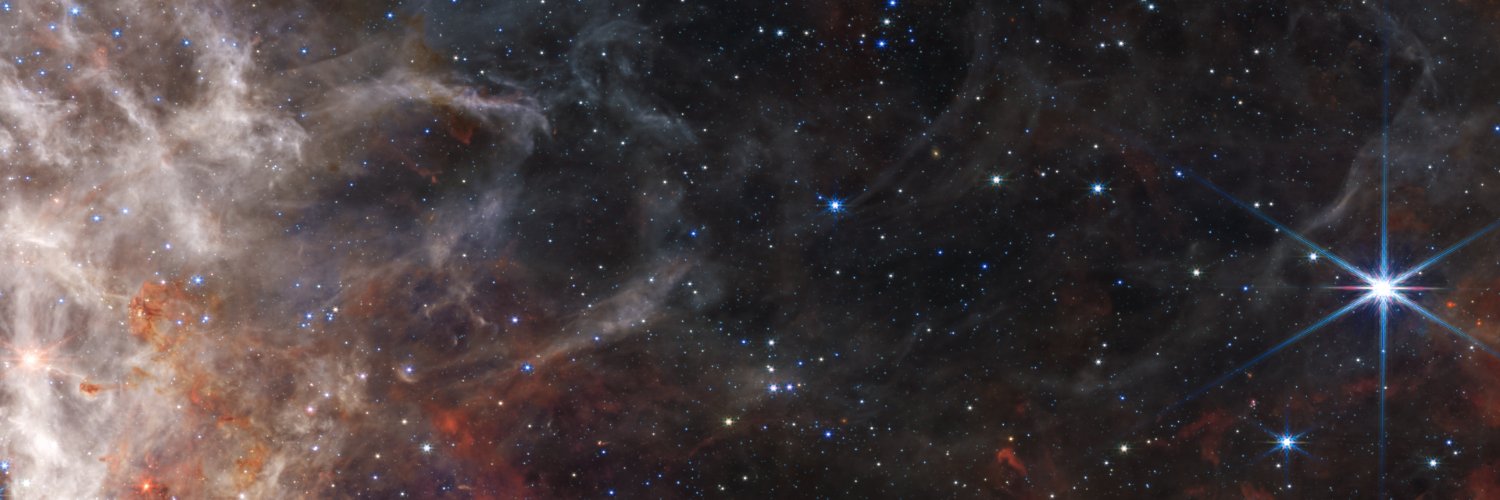 NGU || BJ Wafer banner