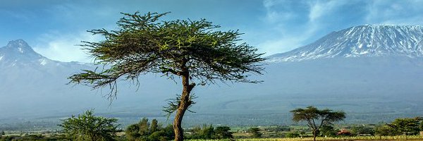 Daniel Mbugua Wanganga Profile Banner