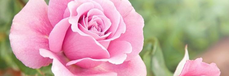 GemmaBarter's profile banner image