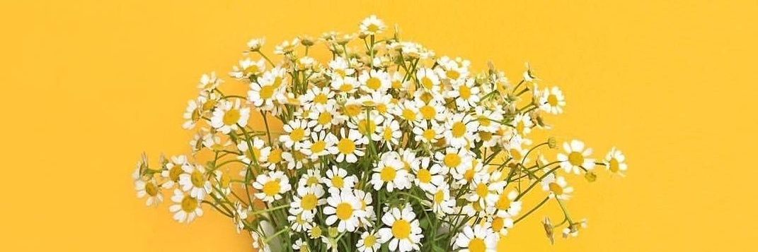 ماجد 🇵🇰 banner