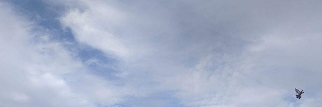 Garinaaaa banner