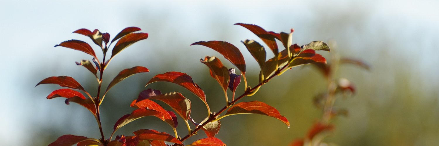 Gy_Reka's profile banner image