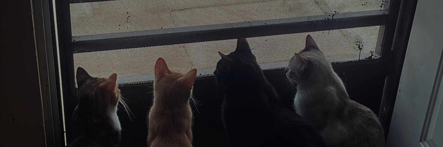 its_lietf's profile banner image