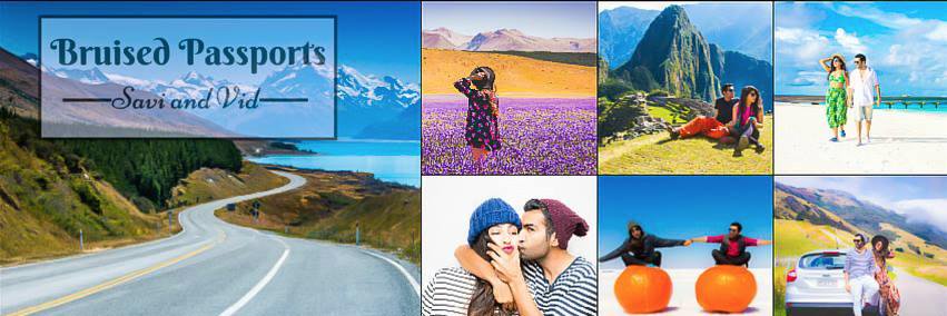 Savi and Vid banner