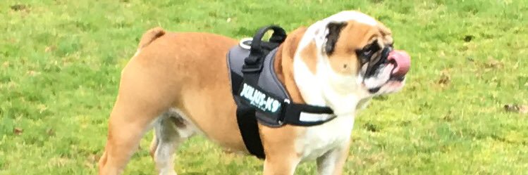 AndyEll_96's profile banner image