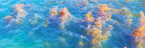 Turn On The Sunlight banner