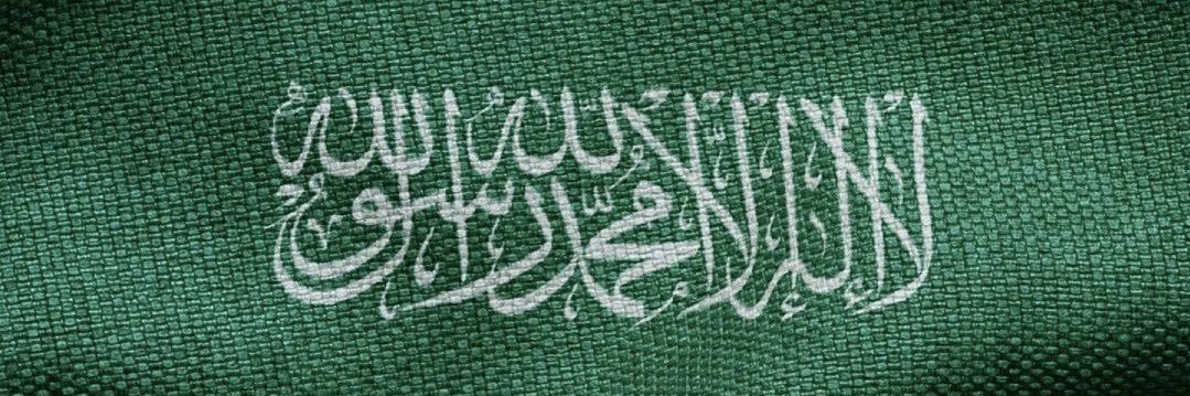 LEO-MBS🇸🇦 banner