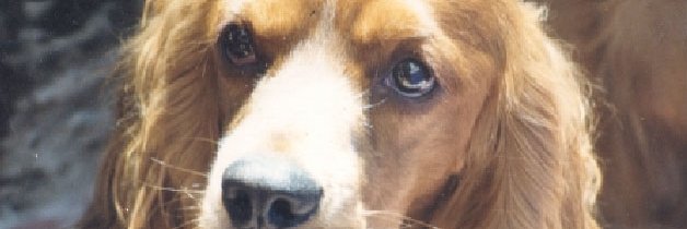midoctoranancy's profile banner image