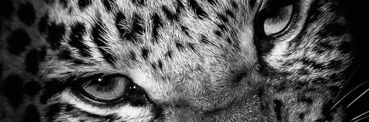 kthbyu's profile banner image