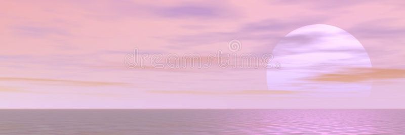 sunrisesrose's profile banner image