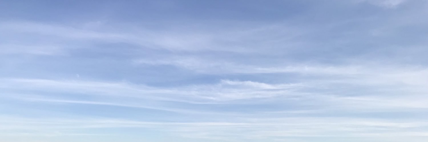 اسـراء فُرات #نخلة_بصرية 🌴🦋 banner