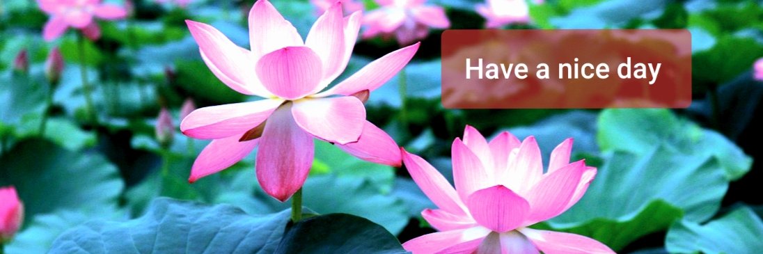 INDRANIL ROY banner