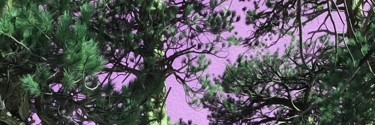 GonkDan's profile banner image