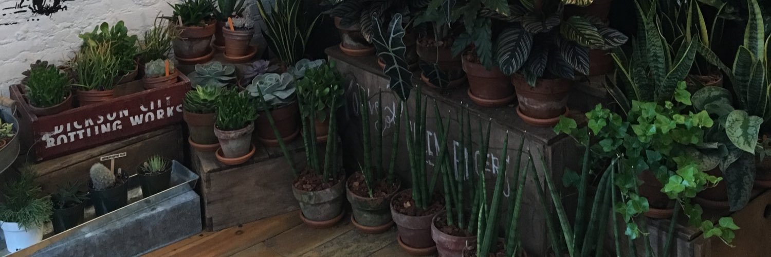 usualrach's profile banner image