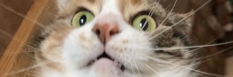 p_sterio's profile banner image