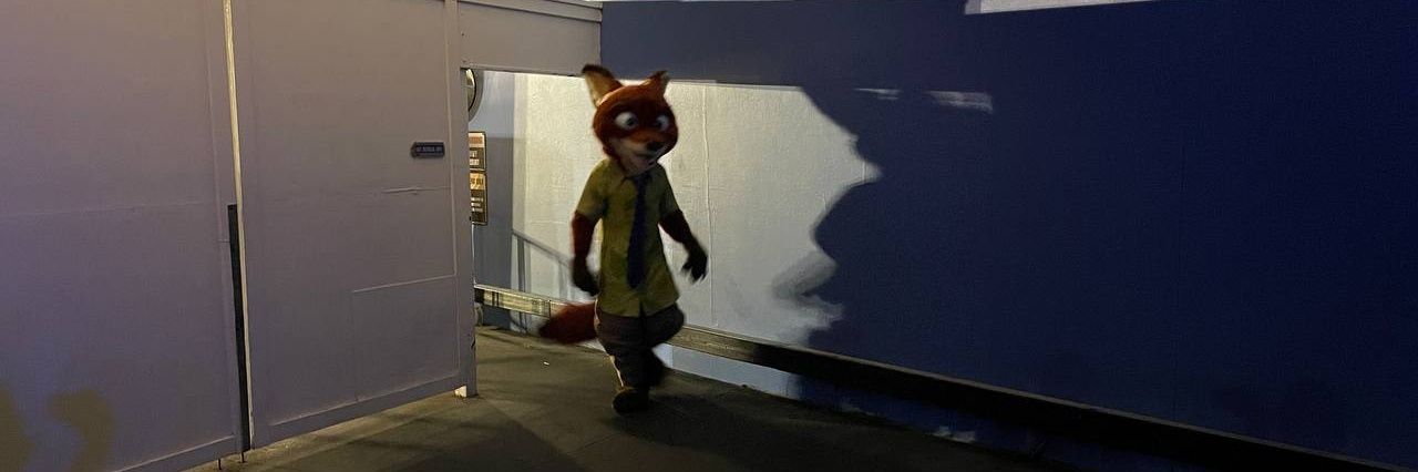 Nuki 🦝🇨🇦 ➡ MFF 2024 banner