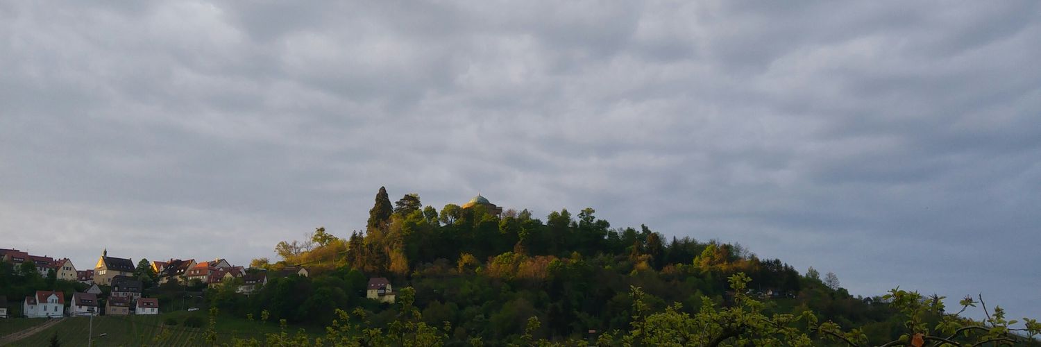 rollostuttgart's profile banner image