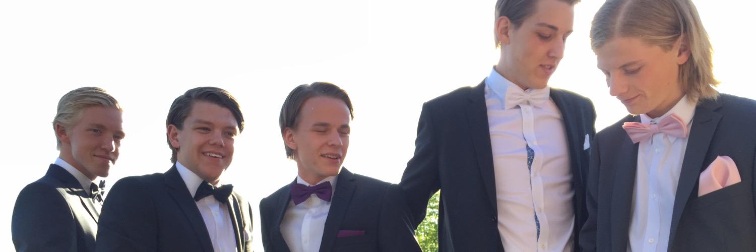 Robin Sandström banner