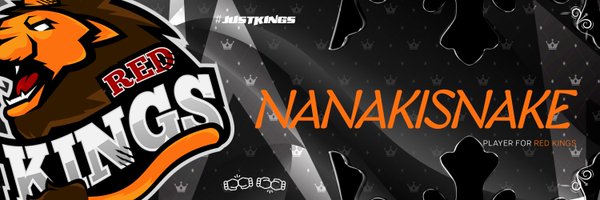 nanakisnake Profile Banner